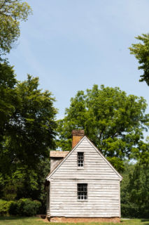 Pine Slash, exterior