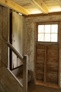 Pine Slash, interior