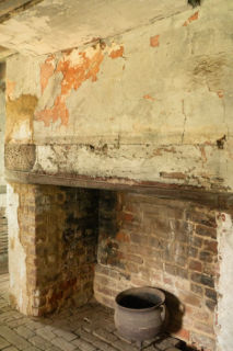 Pine Slash, interior